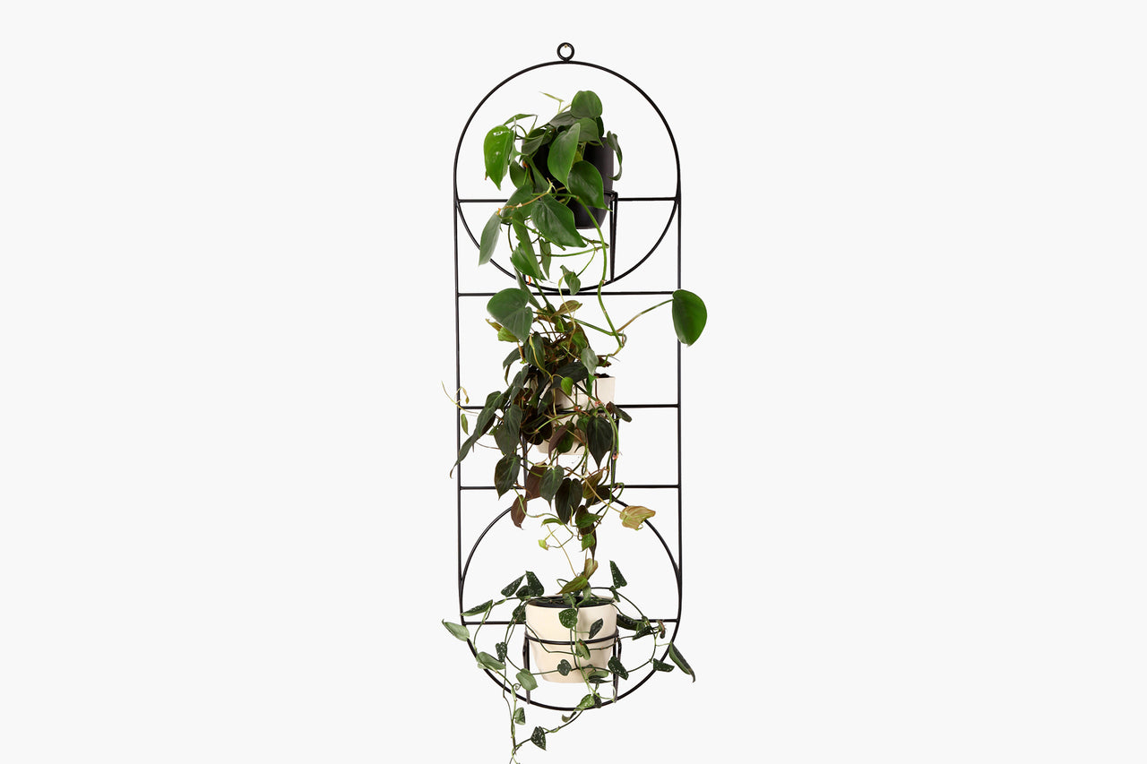 ORIO flower stand x LUSH