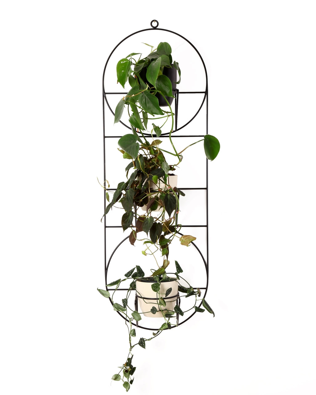 ORIO flower stand x LUSH
