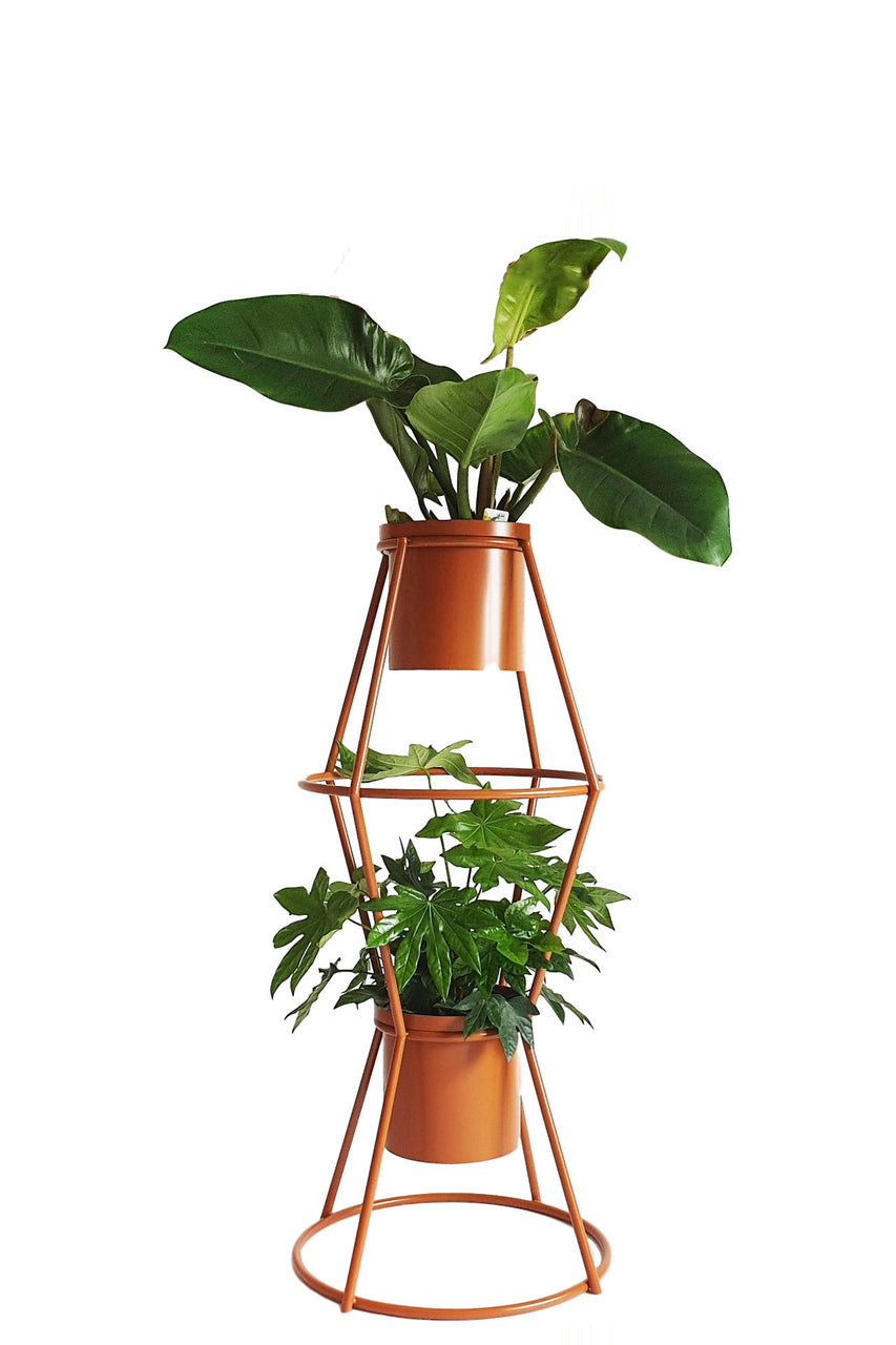 TOTEM flower stand x LUSH