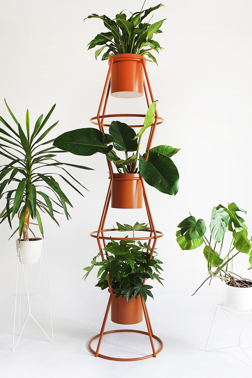 TOTEM flower stand x LUSH