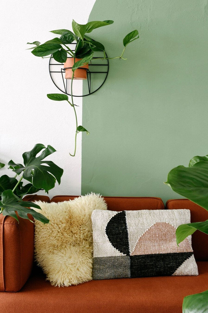 SOL flower bed x LUSH