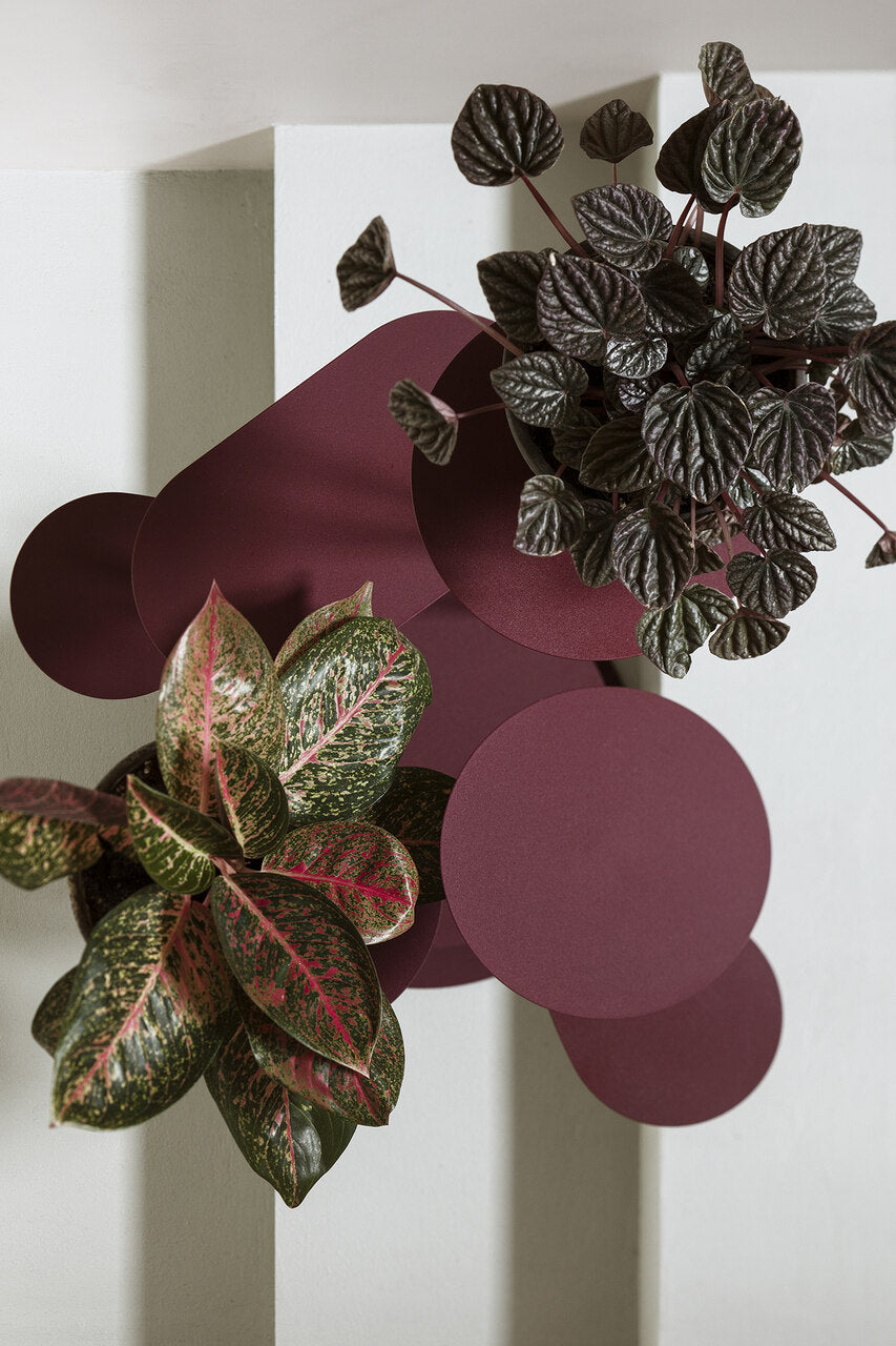 TILLO flower bed x LUSH